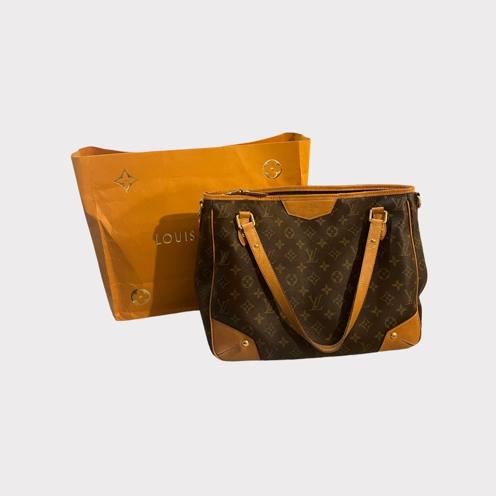 Louis Vuitton Purse